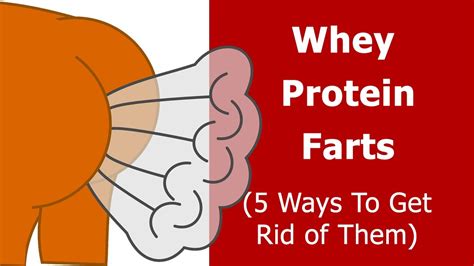 creatine farts|does eating protein give you gas.